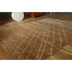 Teppich SHADOW 9367 rost / Gold