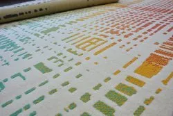 Teppich SCANDI 18216/063 - Streifen kariert