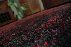 Teppich SHAGGY NARIN P901 schwarz und rot