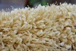 Teppich SHAGGY NARIN P901 Knoblauch Gold