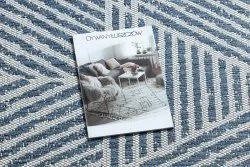 Teppich COLOR 47176360 SISAL Linien, Dreiecke, Zickzack beige / blau