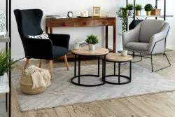 Teppich SOFT 8028 ETHNO TANNE braun / beige 