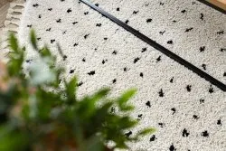 Teppich BERBER SYLA B752 Kreis Punkte sahne Franse berber marokkanisch shaggy
