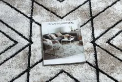 Modern Teppich COZY Tico, Geometrisch- Strukturell zwei Ebenen aus Vlies braun