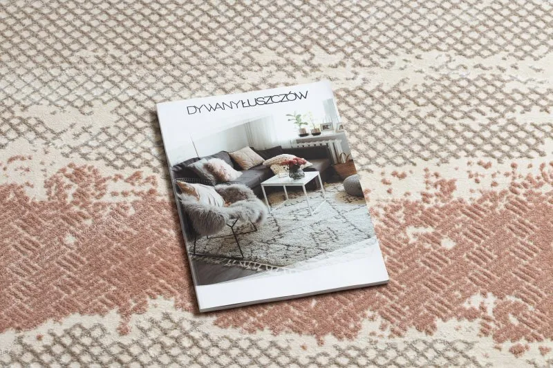 Teppich CORE A004 Rahmen, schattiert - Struktur zwei Vliesebenen, beige / rosa