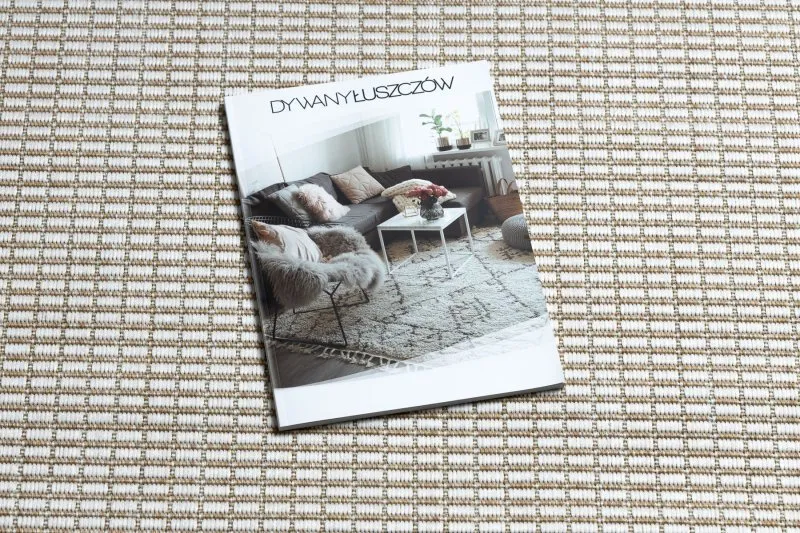 Teppich SISAL SION Rahmen 21782 flach gewebt ecru / beige