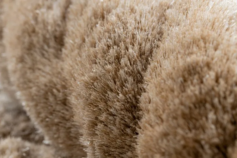 Modern Teppich FLIM 008-B1 shaggy, Kreise - Strukturell beige