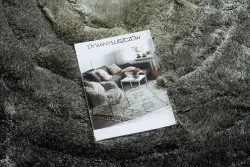 Modern Teppich FLIM 008-B2 shaggy, Kreise - Strukturell grau