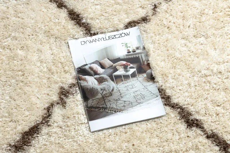 Teppich FLUFFY 2373 Shaggy Gitter - creme / beige