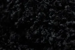 Teppich SOFFI shaggy 5cm schwarz