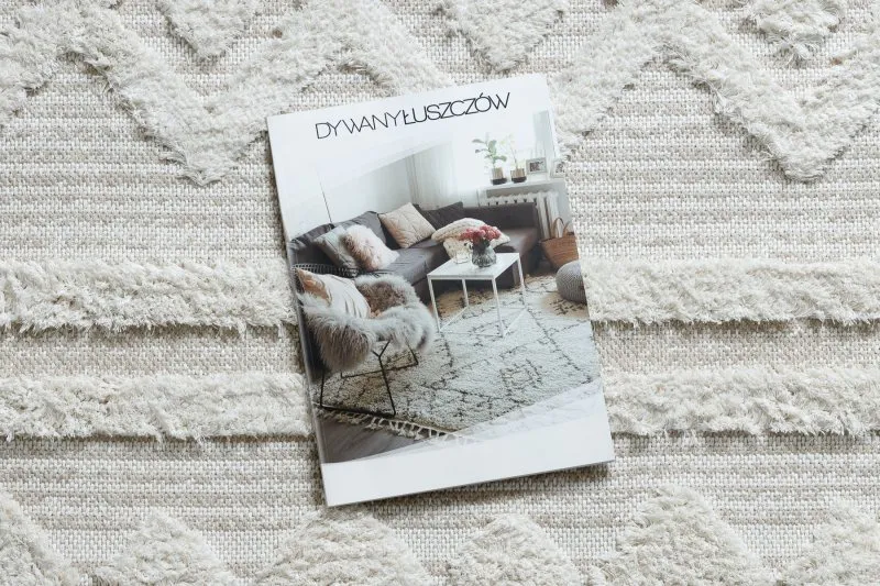 Teppich ÖKO SISAL MOROC 22322 Rauten, Linien, boho Franse - strukturell beige / creme