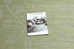Teppich SISAL PATIO 3045 Blätter flach gewebt grün / beige