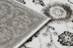 Teppich MATEO 8037/944 Modern Rahmen, Blumen - Strukturell grau / beige