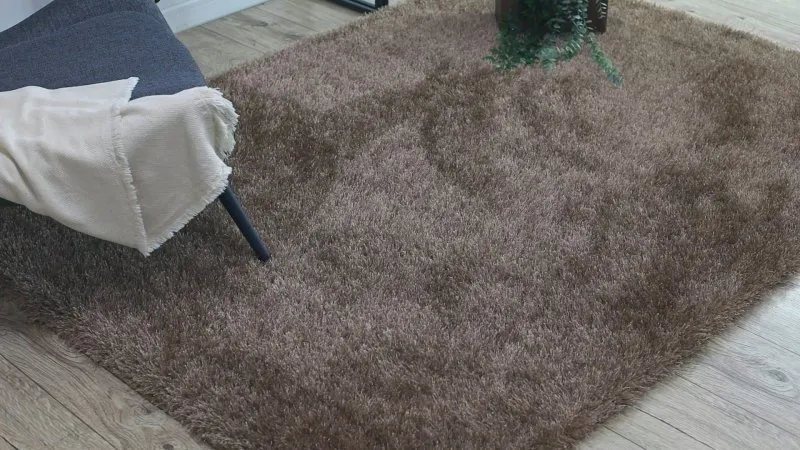 Teppich BUENOS 6650 shaggy schlicht, einfarbig dunkelbeige
