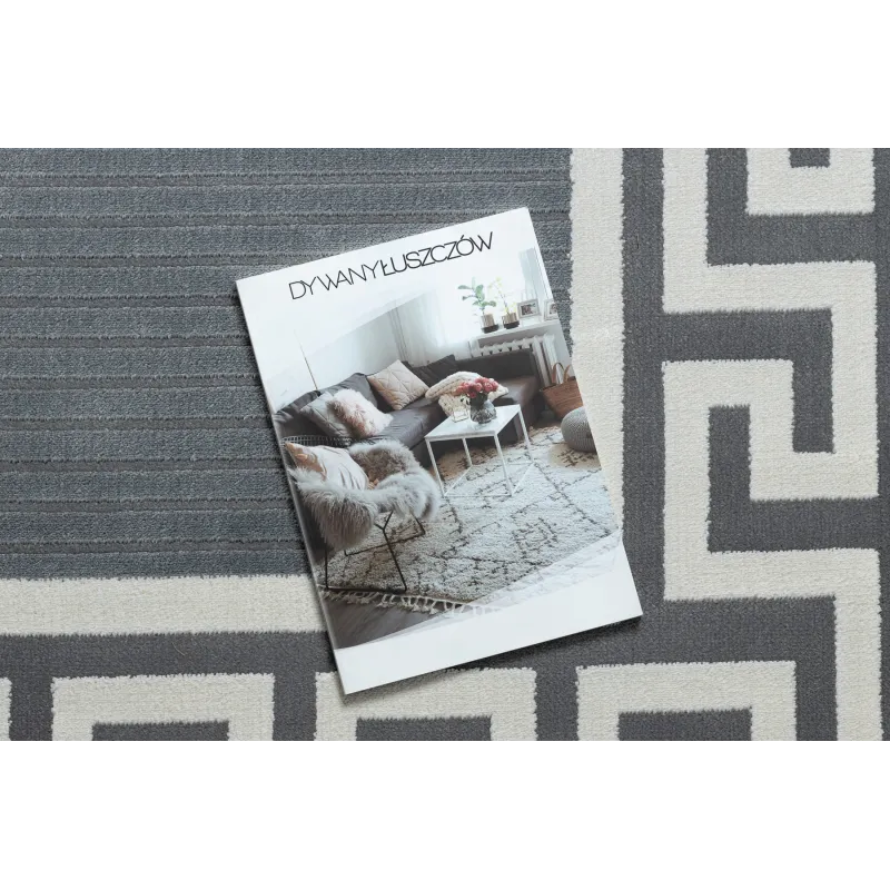 Teppich PEARL 51327F grau - Rahmen, griechisch exklusiv, strukturiert