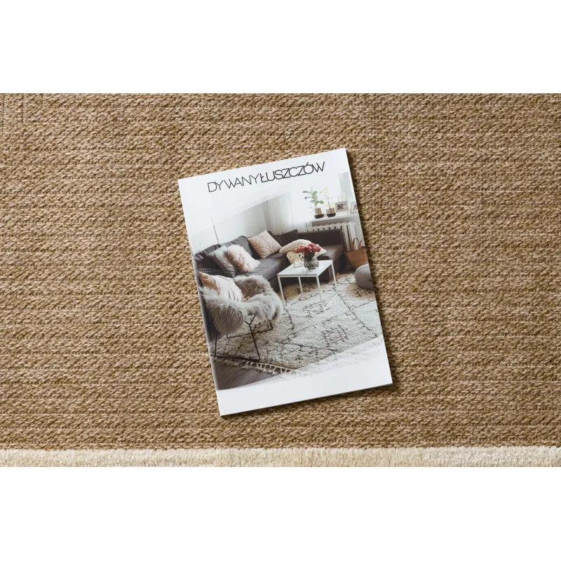 Teppich SPARK 0687A beige / creme - Rahmen, Sisal, strukturiert