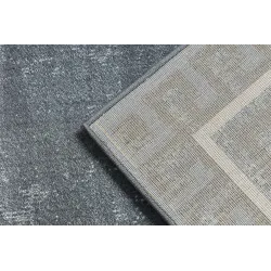 Teppich ALLURE 1960 Griechischer Schlüssel, Rahmen - Strukturell, stilvoll, Glamour grau