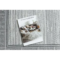 Teppich ALLURE 8783 Griechischer Schlüssel, Rahmen - Strukturell, stilvoll, glamourös hellgrau / weiß