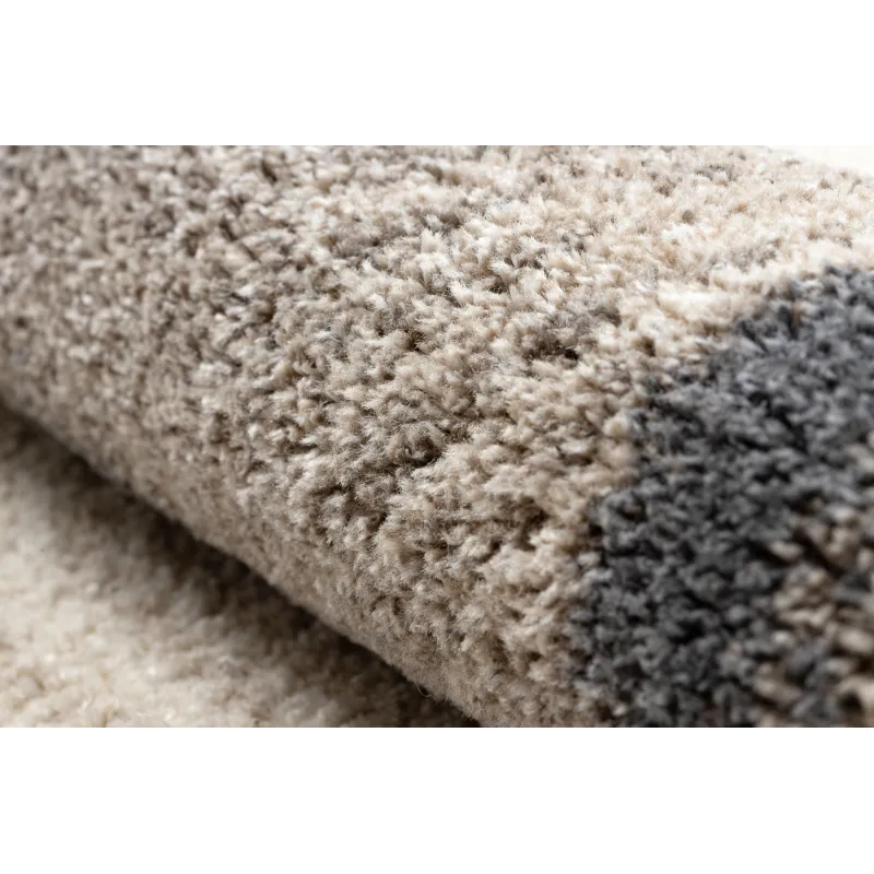 Teppich FUSION 9612 creme / beige - Baumstamm, Holz, modern, abstrakt