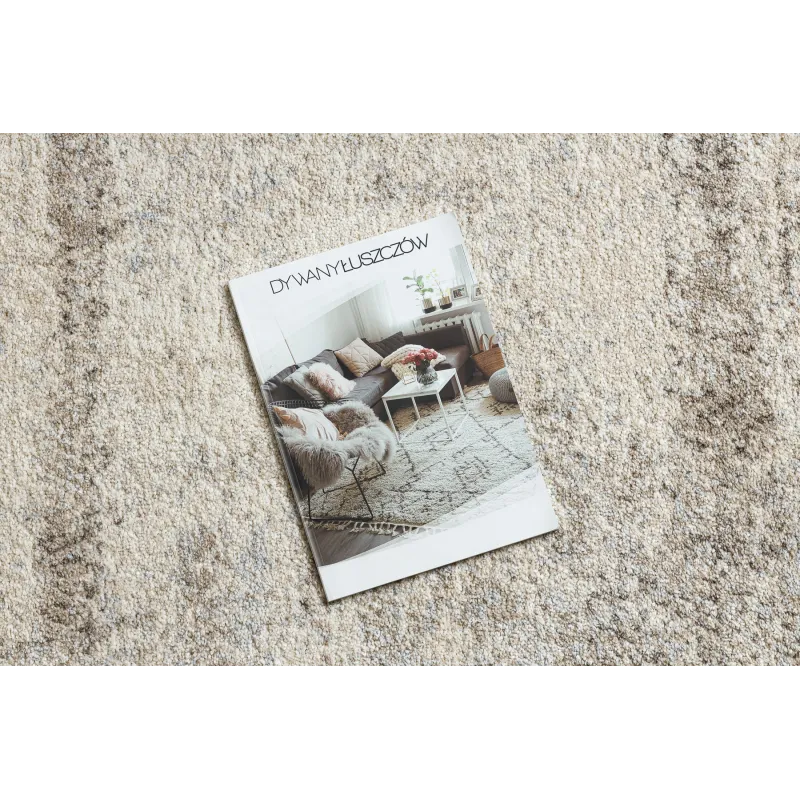 Teppich FUSION 8255 creme / beige - Vintage, modern, abstrakt