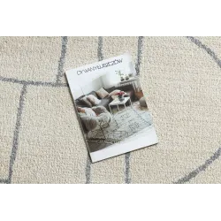 Teppich FUSION 0806 creme / hellgrau - Geometrisch, modern, abstrakt