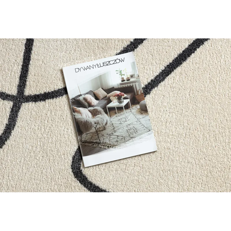 Teppich FUSION 8297 creme / dunkelgrau - Linien, modern, abstrakt