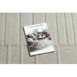 Teppich FLUX 461.3.AE121 Wollmischung OSTA - Geometrisch, strukturell, Loftstil Beige / Grau