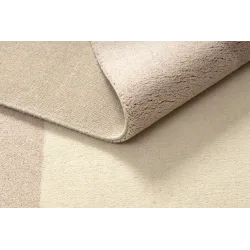 Teppich FLUX 461.7.AE200 Wollmischung OSTA - Geometrisch, strukturell, Loft-Stil beige / rosa