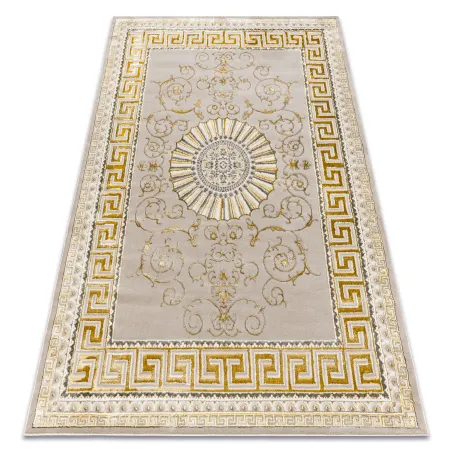 Teppich BLISS Z160AZ147 dunkelbeige / Gold - Bordüre, Griechisch exklusiv, strukturell - KLASSE 2