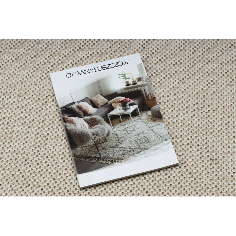 Teppich SCHNURGEBUNDEN SISAL SION A5165A Mélange Flachgewebe ecru / creme
